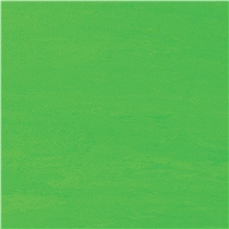 podlaha-pavigym-fitness-lime-green